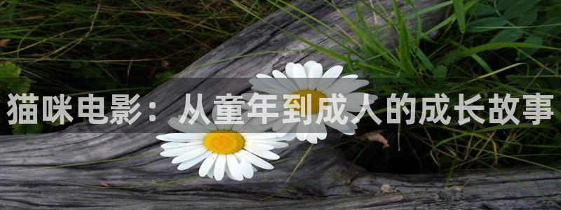 南瓜影院影院影免費電影在線高清