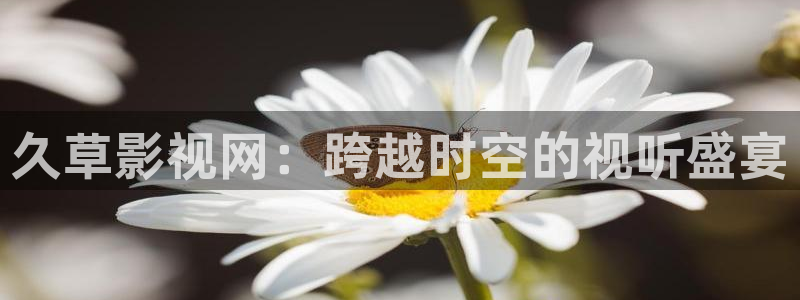 南瓜南瓜的圖片