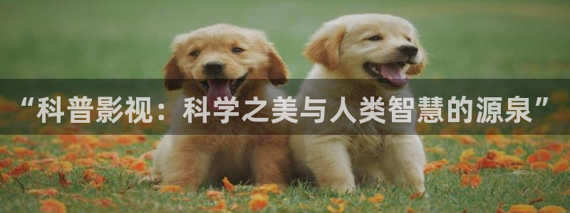 南瓜電影在線：“科普影視：科學之美與人類智慧的源泉”