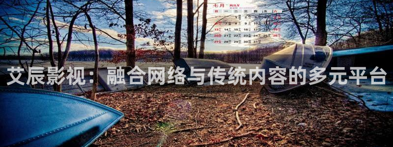 南瓜影視官方正版：艾辰影視：融合網絡與傳統內容的多元平臺